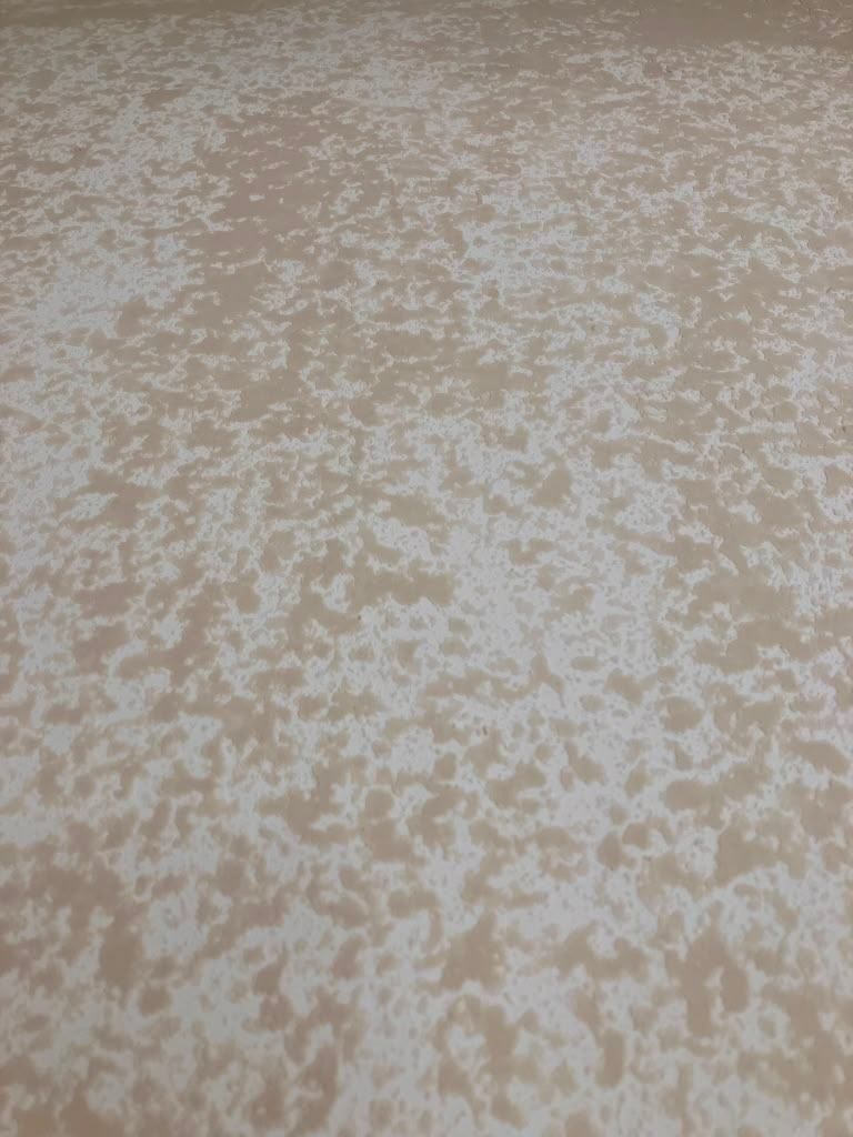 Project 50 — surface repair work by Rafael's Painting Inc.