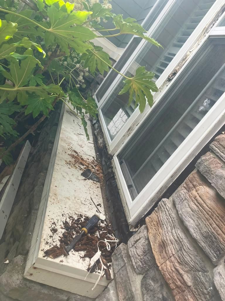Project 73 — surface repair work by Rafael's Painting Inc.