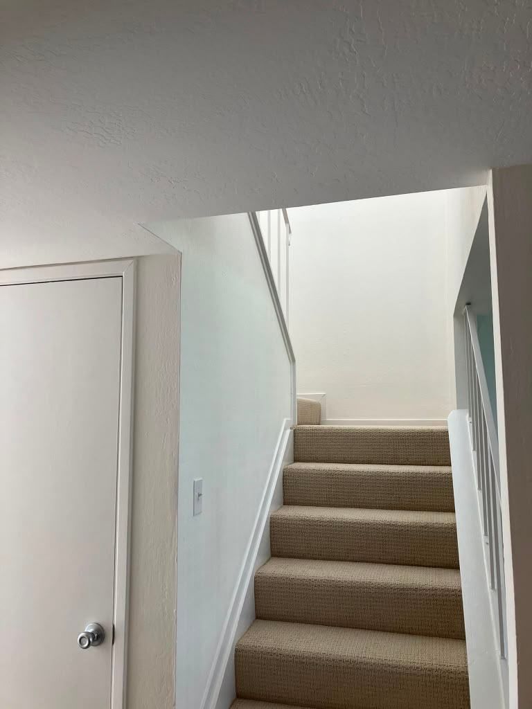 Project 60 — interior room painted by Rafael's Painting Inc.