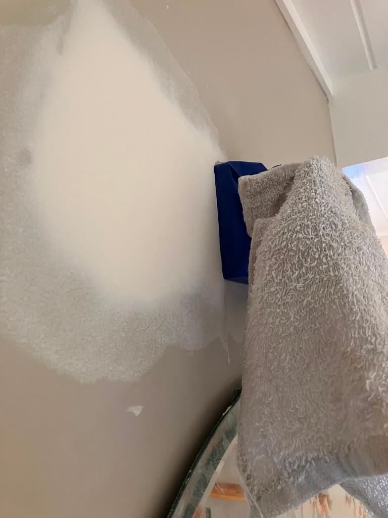 Project 30 — surface repair work by Rafael's Painting Inc.
