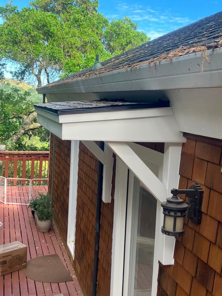 Project 51 — door and trim painting by Rafael's Painting Inc.